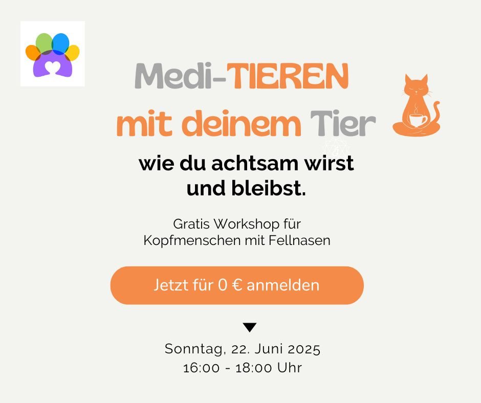 PopUp_Meditieren-Workshop